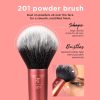 POWDER BRUSH 2